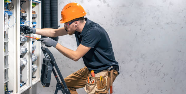 Best Electric Panel Repair  in Petoskey, MI