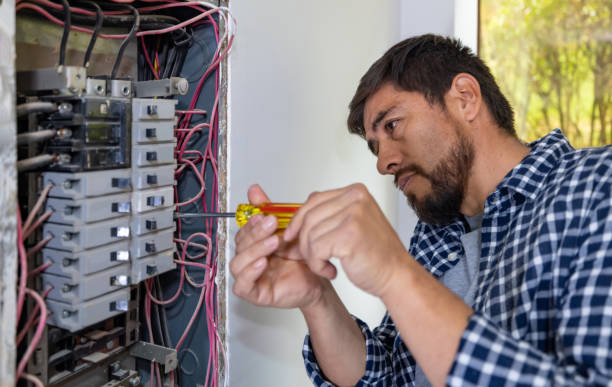 Best Electrical Repair Services  in Petoskey, MI